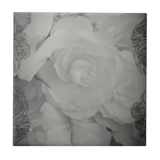 White Begonia Tegeltje (Voorkant)