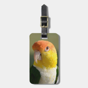 White Bellied Caique Parrot Bagagelabel