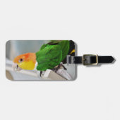 White Bellied Caique Parrot Bagagelabel (Voorkant horizontaal)
