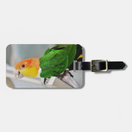 White Bellied Caique Parrot Bagagelabel