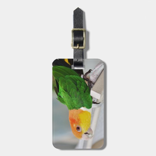 White Bellied Caique Parrot Bagagelabel (Voorkant verticaal)