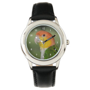 White Bellied Caïque Parrot buitenshuis Horloge