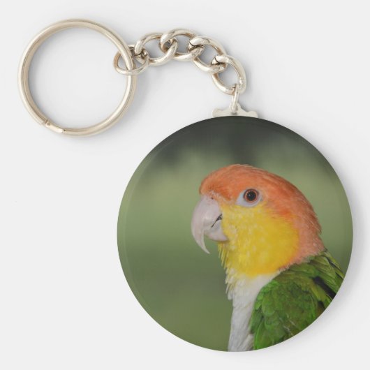 White Bellied Caïque Parrot buitenshuis Sleutelhanger (Voorkant)