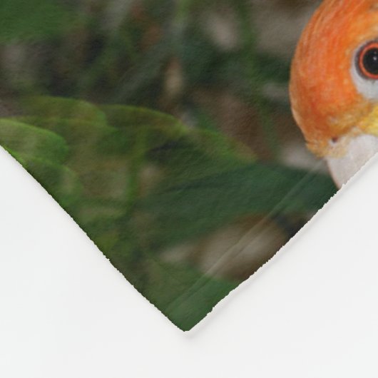White Bellied Caïque Parrot met Bamboe Tree Fleece Deken (Hoek)
