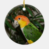 White Bellied Caïque Parrot met Bamboe Tree Keramisch Ornament (Achterkant)