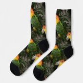 White Bellied Caïque Parrot met Bamboe Tree Sokken (Links)