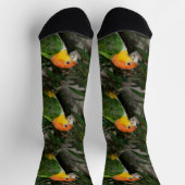 White Bellied Caïque Parrot met Bamboe Tree Sokken (Top)