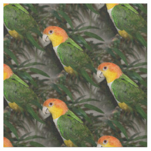 White Bellied Caïque Parrot met Bamboe Tree Stof