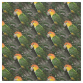 White Bellied Caïque Parrot met Bamboe Tree Stof (Swatch)