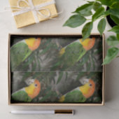 White Bellied Caïque Parrot met Bamboe Tree Tissuepapier (Geschenk)