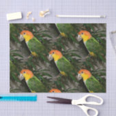 White Bellied Caïque Parrot met Bamboe Tree Tissuepapier (Craft)