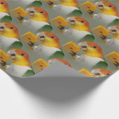 White Bellied Caïque Parrot met Speelgoed hout Blo Cadeaupapier (Hoek)