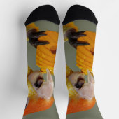 White Bellied Caïque Parrot met Speelgoed hout Blo Sokken (Top)