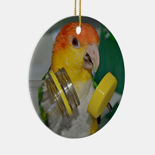 White Bellied Caïque Parrot Palling Keramisch Ornament (Rechts)