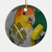 White Bellied Caïque Parrot Palling Keramisch Ornament (Voorkant)