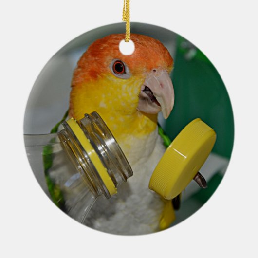 White Bellied Caïque Parrot Palling Keramisch Ornament (Achterkant)