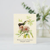 White Bellied Emerald Hummingbird Art Briefkaart (Staand voorkant)