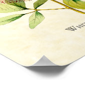 White Bellied Emerald Hummingbird Art print (Hoek)