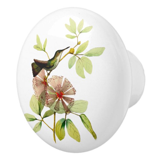 White Bellied Emerald Hummingbird Keramische Knop (Rechts)