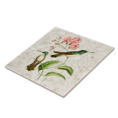 White Bellied Hummingbird Natuur Art Tegeltje (Zijkant)