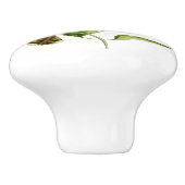 White Bellied Mountain Gem Hummingbird Keramische Knop (Zijkant)