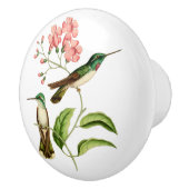 White Bellied Mountain Gem Hummingbird Keramische Knop (Rechts)