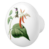 White Bellied Wood Star Hummingbird Keramische Knop (Rechts)