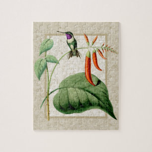 White Bellied Wood Star Hummingbird Puzzle Legpuzzel