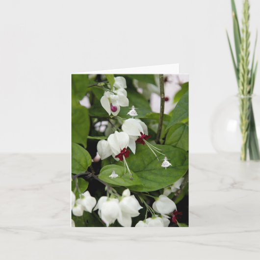 White Bells Shadow Fairies Kaart (Voorkant)