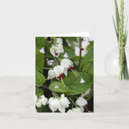 White Bells Shadow Fairies Kaart