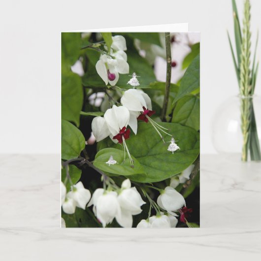 White Bells Shadow Fairies Kaart (Voorkant)