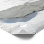 White Beluga Whale Poster (Hoek)