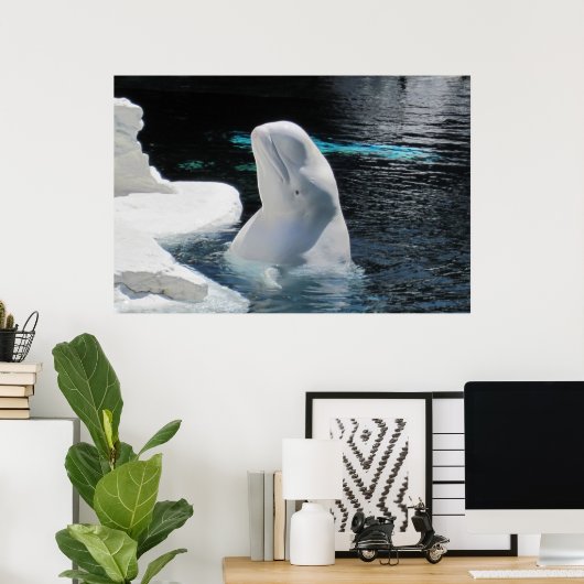 White Beluga Whale Poster (Thuiskantoor)