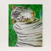 White Bengal Tiger. Grote katten. Legpuzzel (Verticaal)