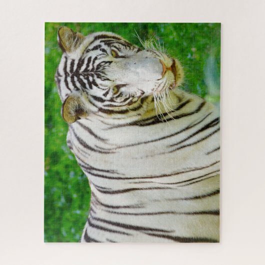 White Bengal Tiger. Grote katten. Legpuzzel (Verticaal)