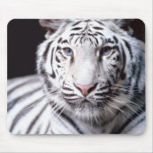 White Bengal Tiger Mousepad Muismat (Voorkant)