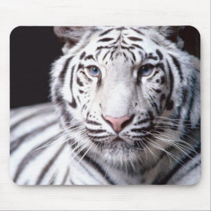 White Bengal Tiger Mousepad Muismat
