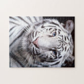 White Bengal Tiger Photo Afbeelding Legpuzzel (Horizontaal)