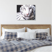 White Bengal Tiger Photography Canvas Afdruk (Insitu (Slaapkamer))