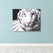 White Bengal Tiger Photography Canvas Afdruk (Insitu (Houten vloer))