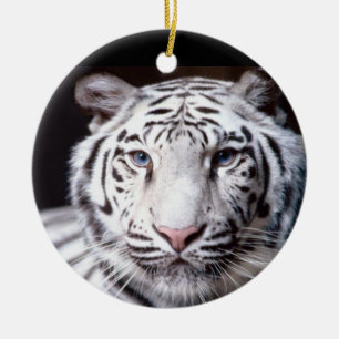 White Bengal Tiger Photography Keramisch Ornament