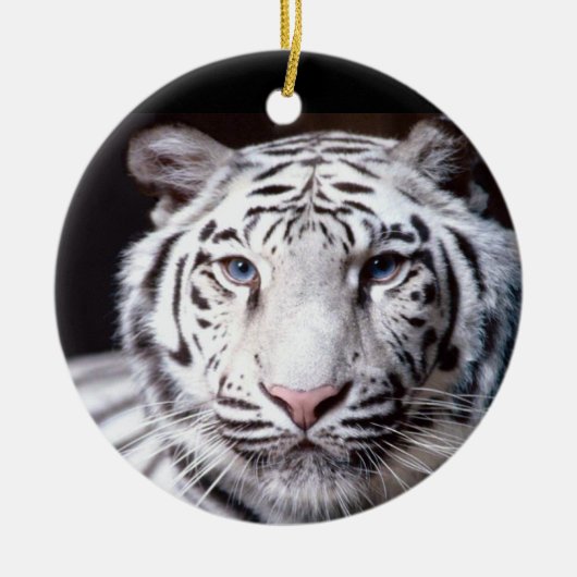 White Bengal Tiger Photography Keramisch Ornament (Voorkant)