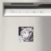 White Bengal Tiger Photography Magneet (Insitu (Vaatwasser))