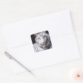White Bengal Tiger Photography Vierkante Sticker (Envelop)