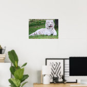 White Bengal Tiger Poster (Thuiskantoor)