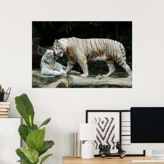 White Bengal Tiger poster (Thuiskantoor)