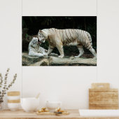 White Bengal Tiger poster (Keuken)