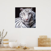White Bengal Tiger Poster (Keuken)