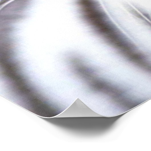 White Bengal Tiger Poster (Hoek)