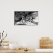 White Bengal Tiger Print in zwart-wit (Keuken)